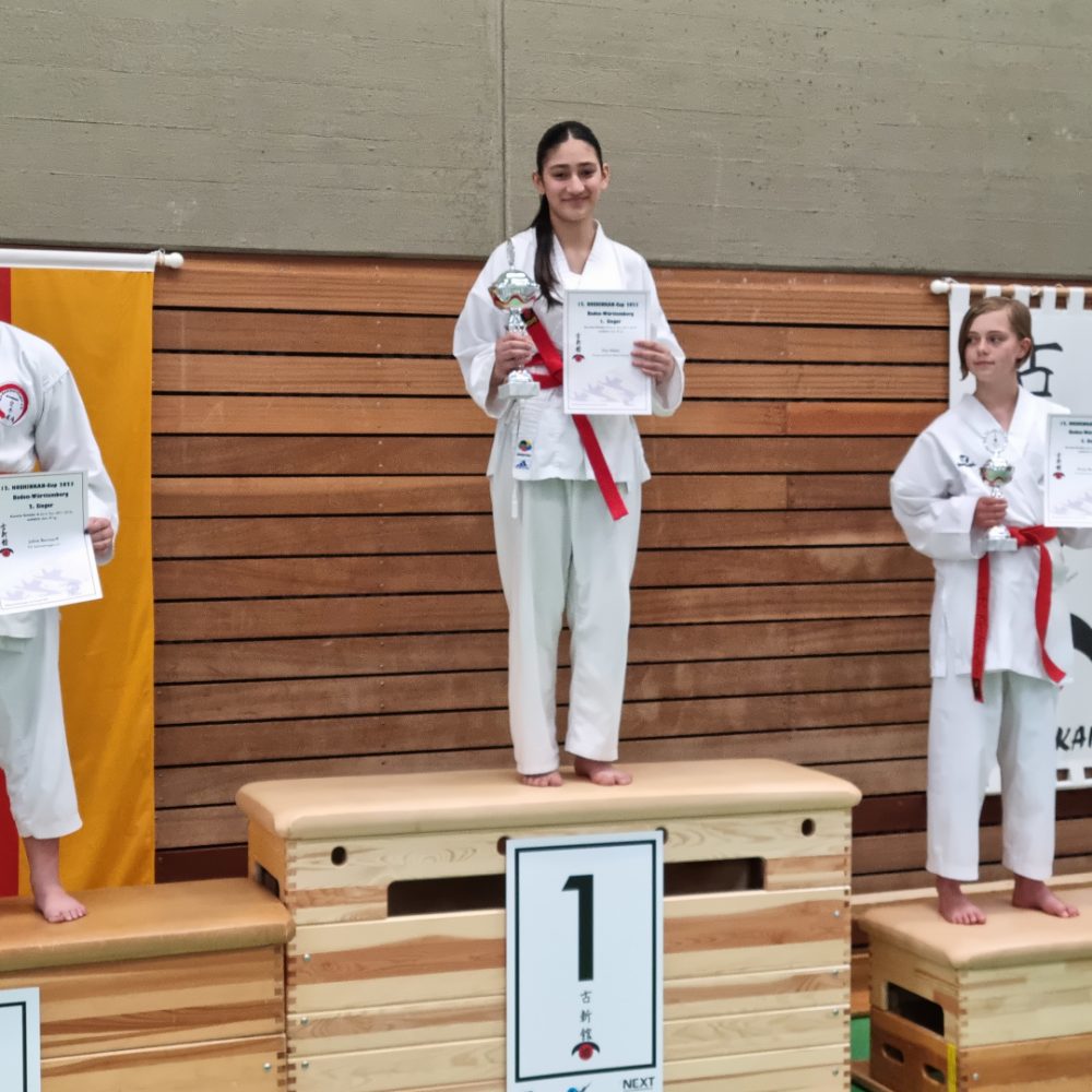 Gold und Doppelbronze beim Koshinkan Cup